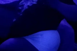 STUFF MY PHAT COOCHIE!! BBW!! NORTH ATTLEBORO!!! - Image 2